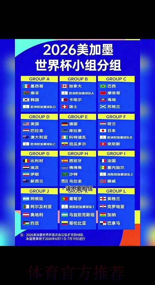 2026年世界杯最新比分与排名进展